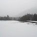 Marcy Smith Photo 11