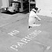 Alison Farris Photo 16