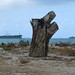 James Stump Photo 16