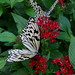 Sandra Ames Photo 33