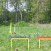 Max Holl Photo 2
