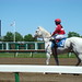 Patricia Powers Photo 39