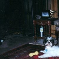 Fred Power Photo 9