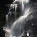 Shannon Long Photo 10