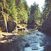 Shirley Gates Photo 9