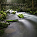 Herman Long Photo 5