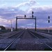 Fe Seligman Photo 9