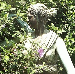 Ann Boyd Photo 7