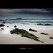 Sandy Link Photo 16