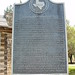 Ann Blackburn Photo 19