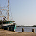 Michael Lafitte Photo 2