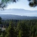 Theresa Kerns Photo 15