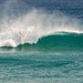 Travis Cowley Photo 4