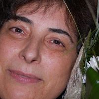Margarida Rosa Photo 23