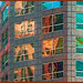 Susan Tower Photo 32