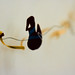 Adam King Photo 14