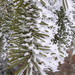 Crystal Cheney Photo 11