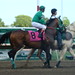 Daniel Haskell Photo 11