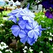Donna Owen Photo 16