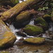 Linda Toole Photo 9