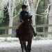 Anna Scholes Photo 7