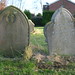 Susan Cross Photo 21
