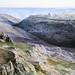 Robert Lear Photo 14