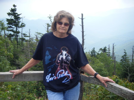 Christine Hairston Photo 4