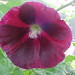 Richard Coker Photo 46