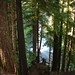 Debra Pine Photo 5