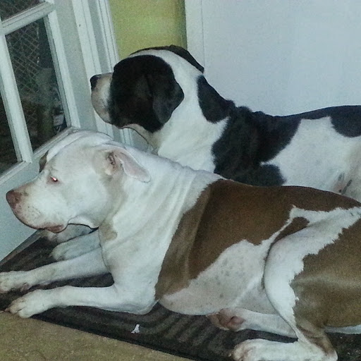 Sherrie Helms Photo 4