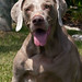 Heidi Foster Photo 19