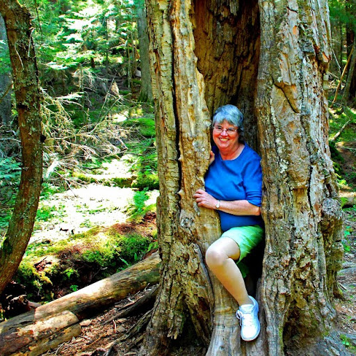 Kathleen Langston Photo 6