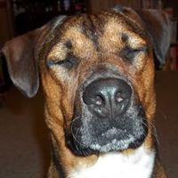 Charlie Brown Photo 12