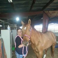 Tammy Lynch Photo 26