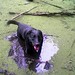 Robbie Pond Photo 3