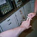 Rustin Miller Photo 6