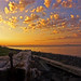 Arthur Stevenson Photo 9