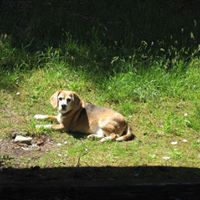 Heather Dewolf Photo 9