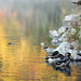 Sharon Wood Photo 23