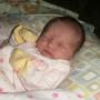 Allison Lawrence Photo 33