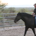 Megan Cahill Photo 20