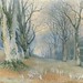 Richard Doyle Photo 40