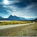 David Thomson Photo 7