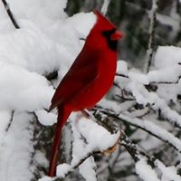 Dave Reinhard Photo 4