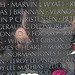 Terry Gibson Photo 18