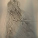 John Howes Photo 36