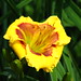 Jason Salters Photo 15