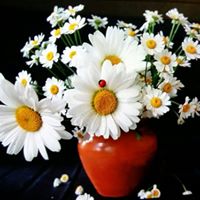 Phuong Doan Photo 22