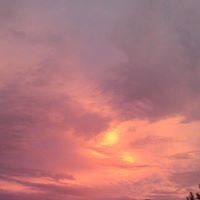 Megan Utter Photo 5